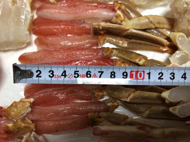 かに本舗　むき身長さ