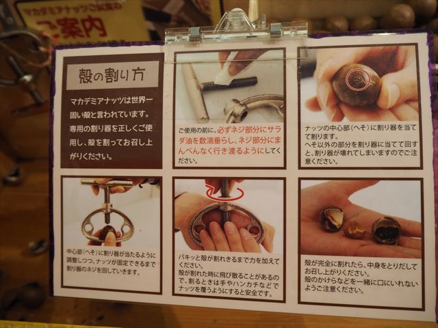 岐阜県中津川ちこり村　マカダミアナッツ殻割2