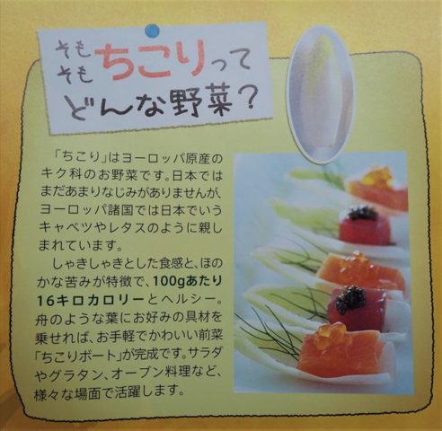 ちこり村　ちこりってどんな野菜