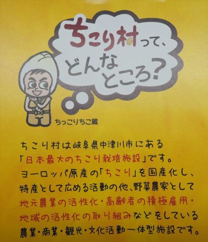 ちこり村とは